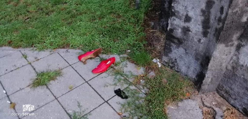 Kto zabalował w parku na Bydgoskim?