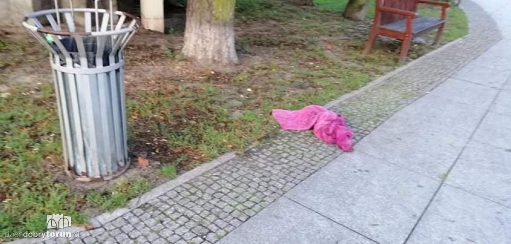 Kto zabalował w parku na Bydgoskim?