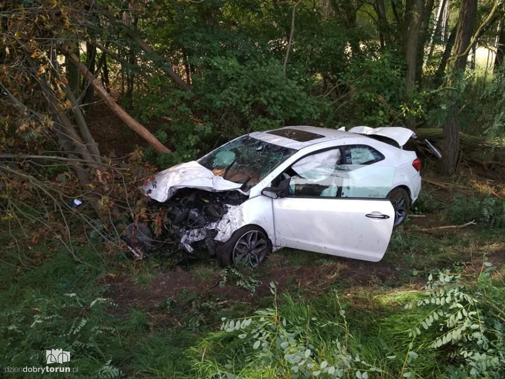 Wypadek na DK10 w Przyłubiu