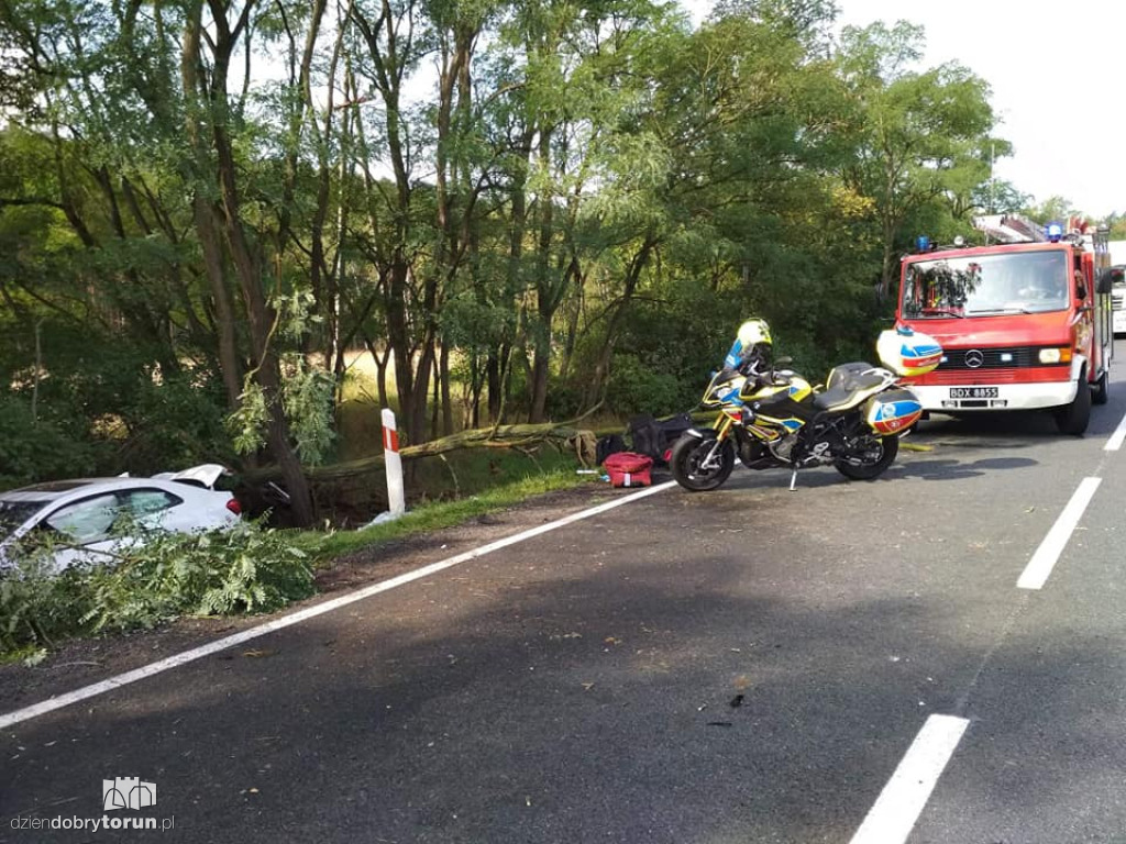 Wypadek na DK10 w Przyłubiu