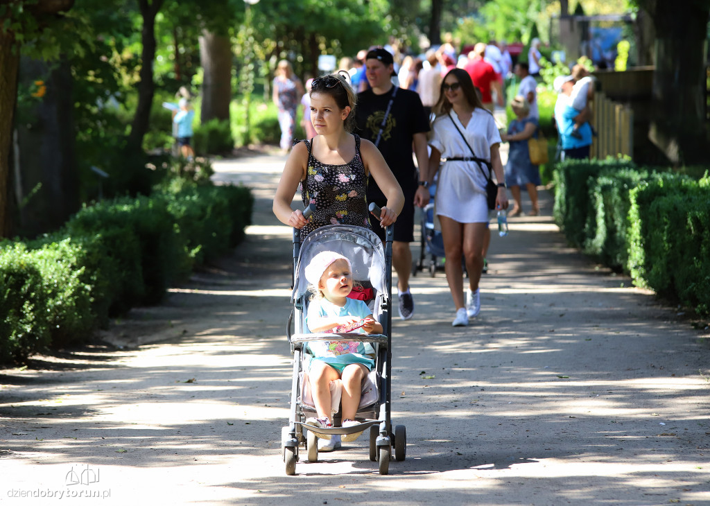 Festyn rodzinny w ogrodzie zoobotanicznym