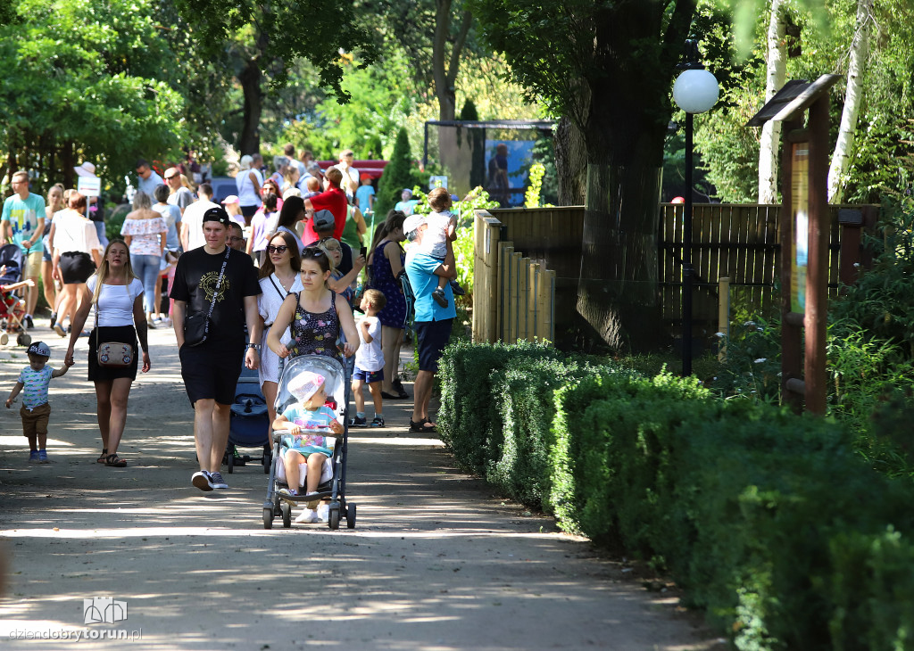 Festyn rodzinny w ogrodzie zoobotanicznym