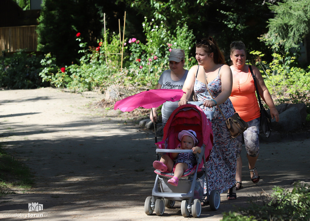 Festyn rodzinny w ogrodzie zoobotanicznym