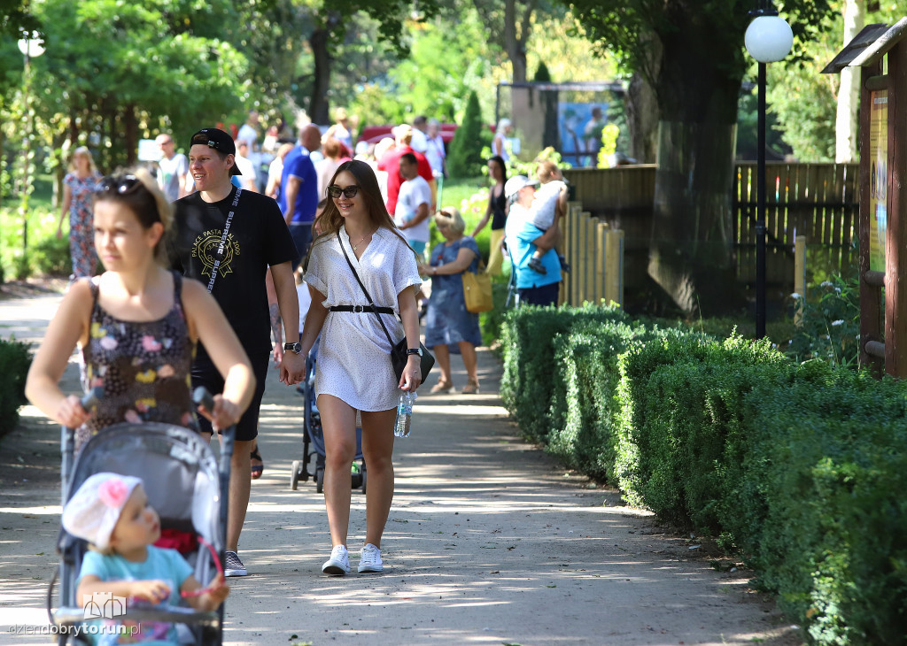 Festyn rodzinny w ogrodzie zoobotanicznym