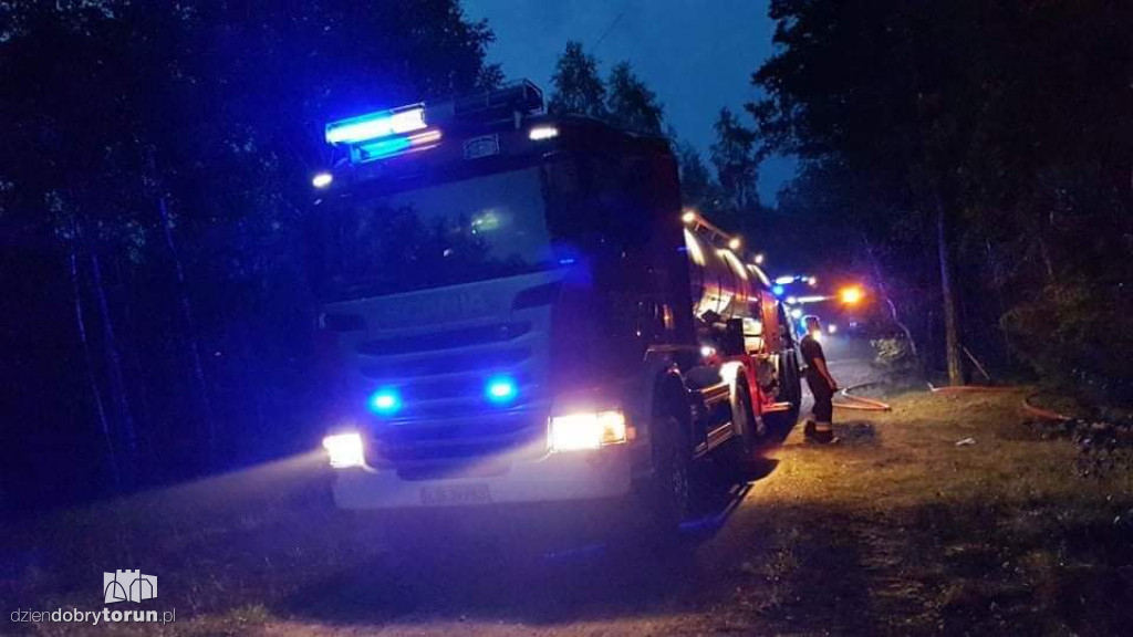 Duży pożar lasu w Strzyżawie niedaleko Torunia