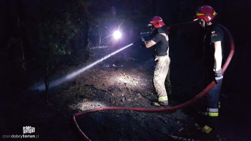 Duży pożar lasu w Strzyżawie niedaleko Torunia