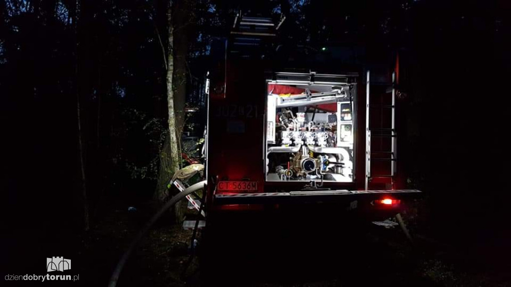Duży pożar lasu w Strzyżawie niedaleko Torunia