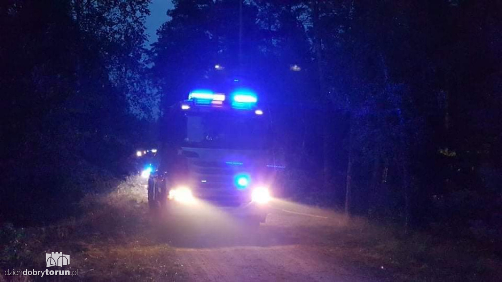 Duży pożar lasu w Strzyżawie niedaleko Torunia