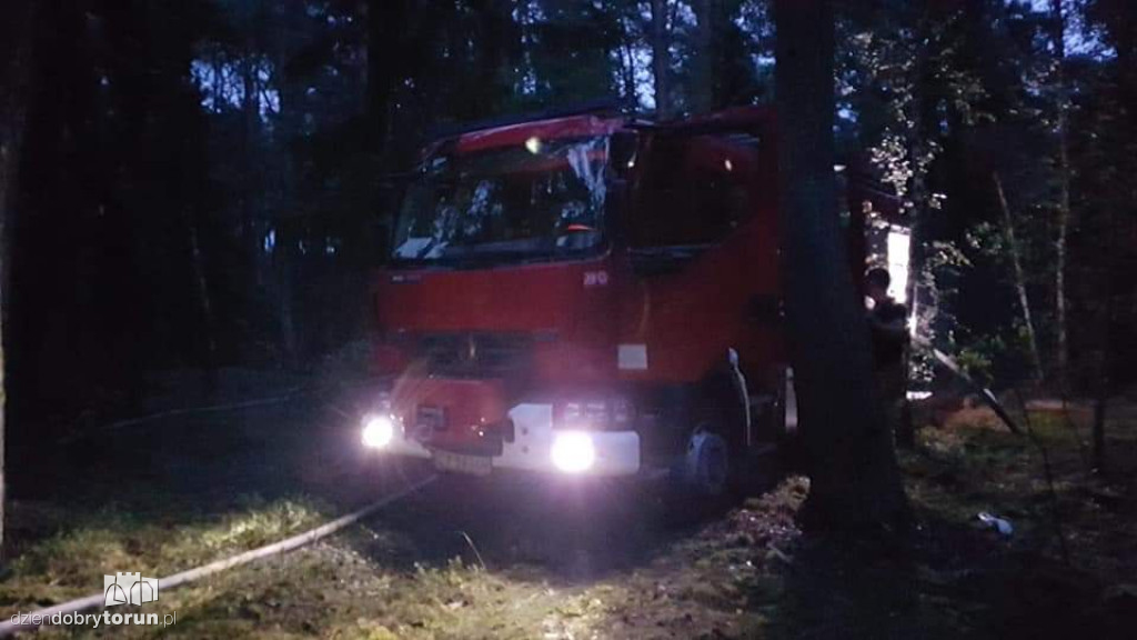 Duży pożar lasu w Strzyżawie niedaleko Torunia