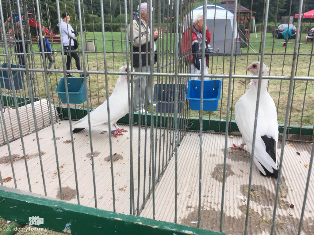 Dożynki w gminie Wielka Nieszawka