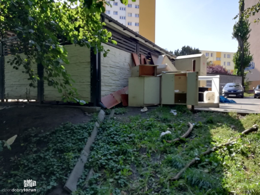 Szczury przy Kaszowniku!