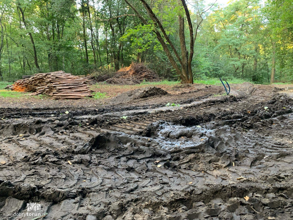 Trwa rewitalizacja parku Tysiąclecia w Toruniu