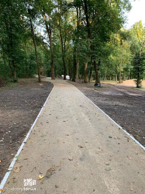 Trwa rewitalizacja parku Tysiąclecia w Toruniu