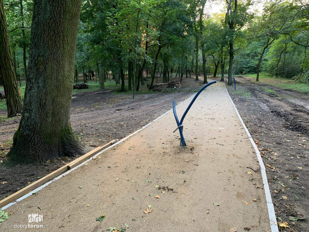 Trwa rewitalizacja parku Tysiąclecia w Toruniu