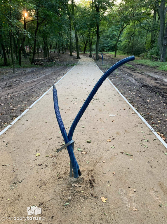Trwa rewitalizacja parku Tysiąclecia w Toruniu