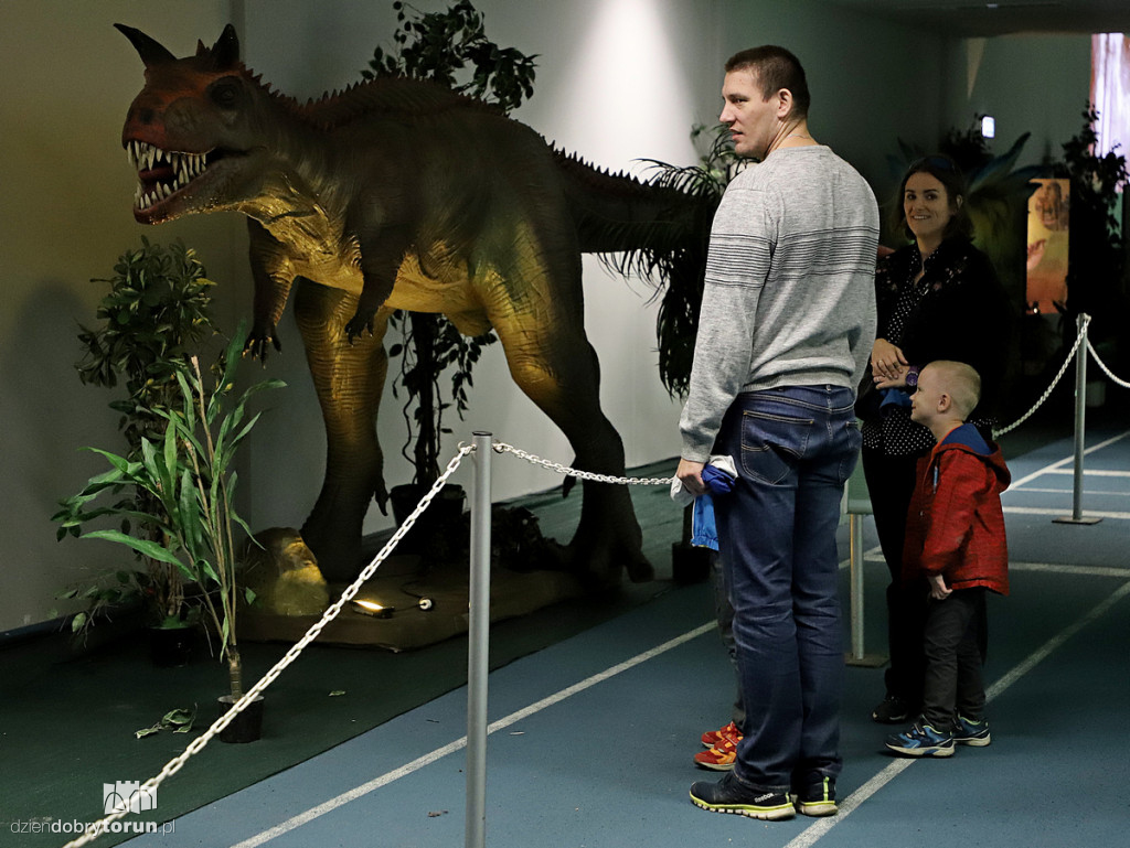Wystawa dinozaurów w Arenie Toruń