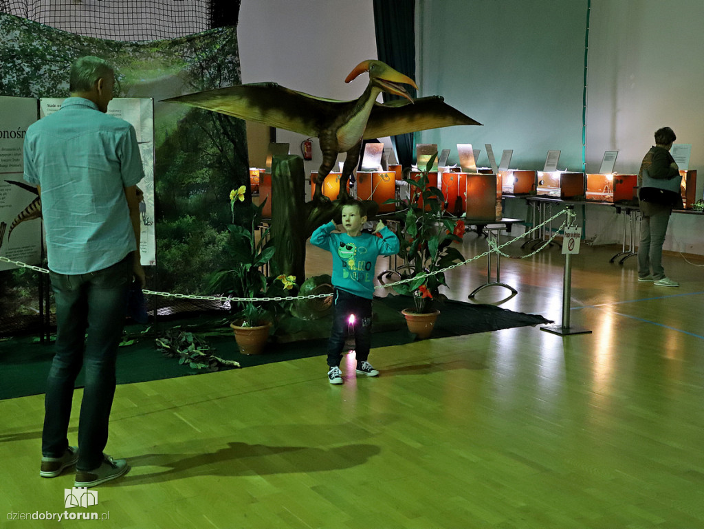 Wystawa dinozaurów w Arenie Toruń