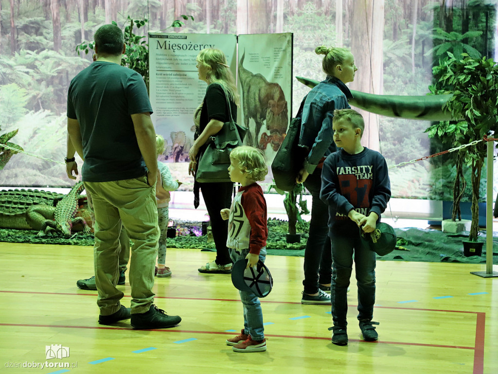 Wystawa dinozaurów w Arenie Toruń