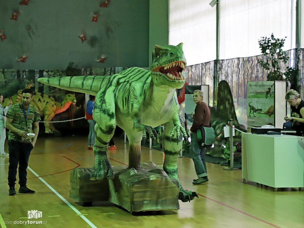 Wystawa dinozaurów w Arenie Toruń