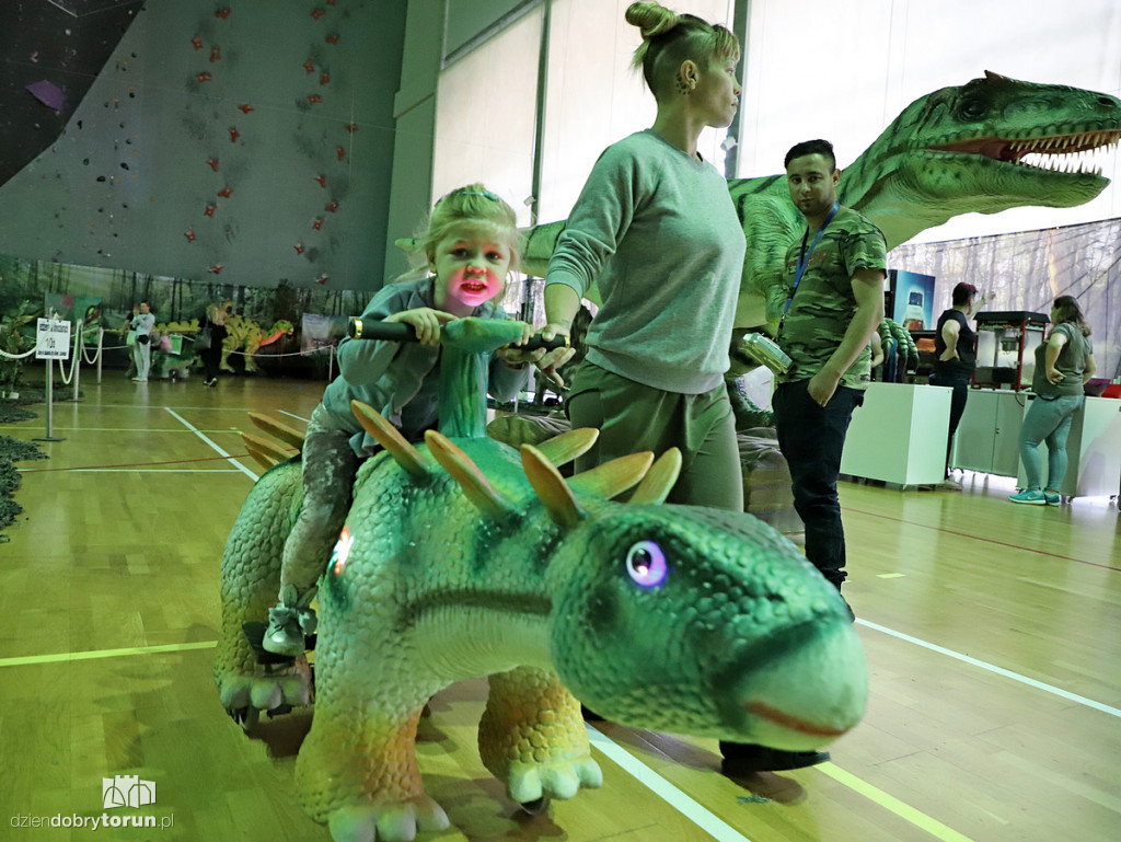 Wystawa dinozaurów w Arenie Toruń