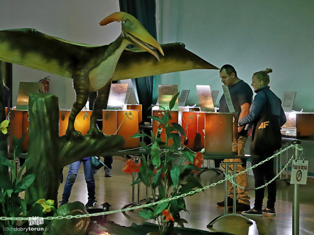 Wystawa dinozaurów w Arenie Toruń