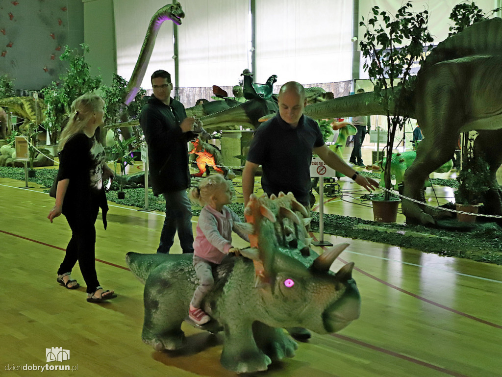 Wystawa dinozaurów w Arenie Toruń