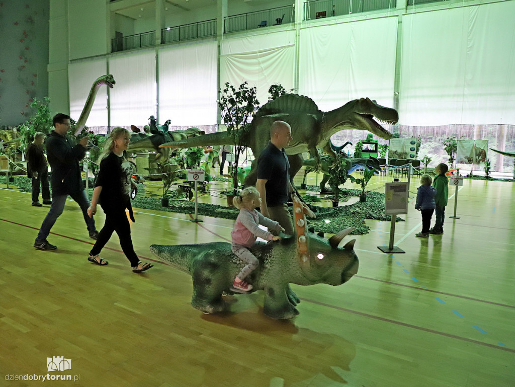 Wystawa dinozaurów w Arenie Toruń