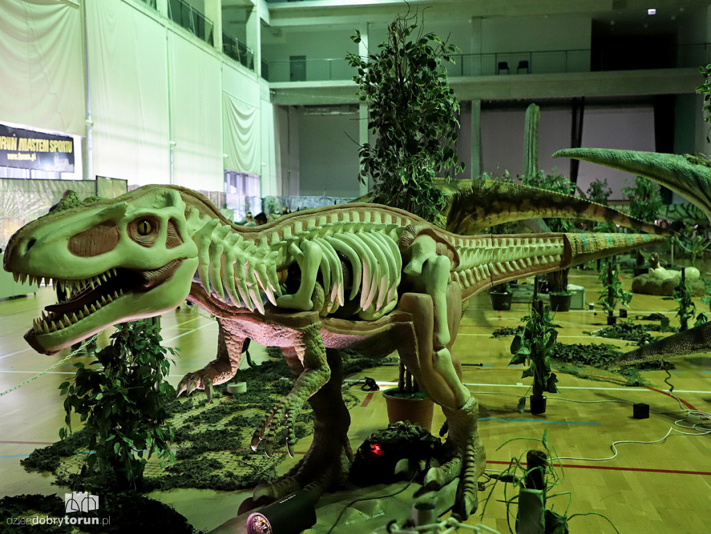 Wystawa dinozaurów w Arenie Toruń