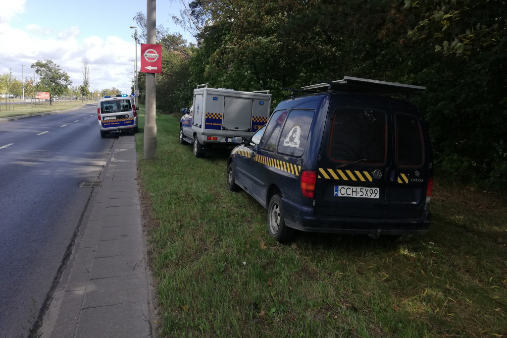 Obława na łosia na Skarpie
