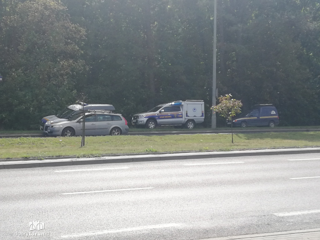 Obława na łosia na Skarpie