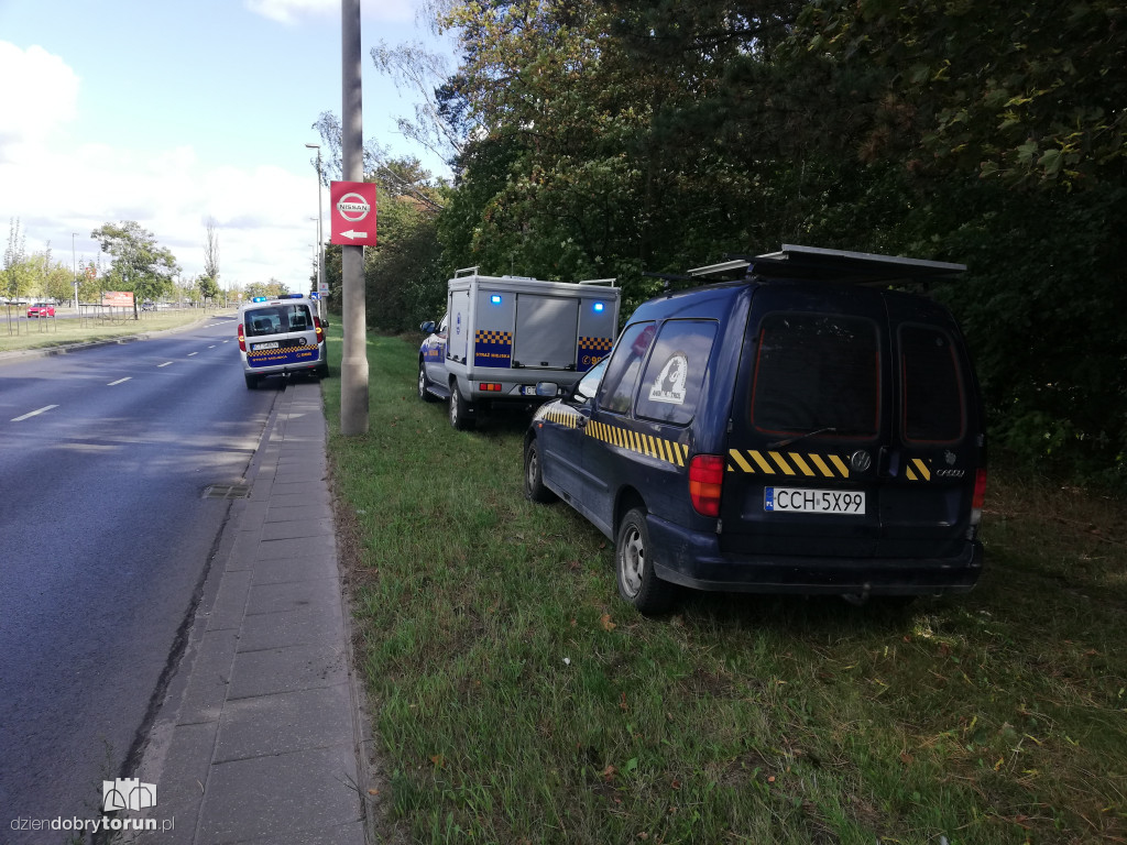 Obława na łosia na Skarpie