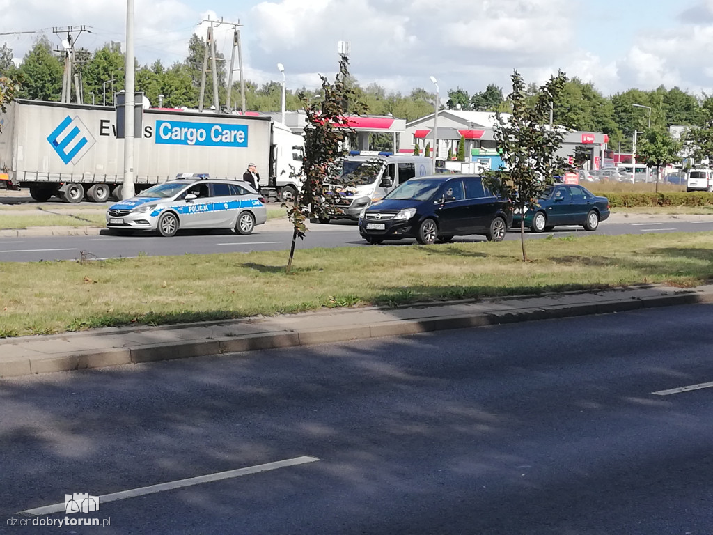 Obława na łosia na Skarpie