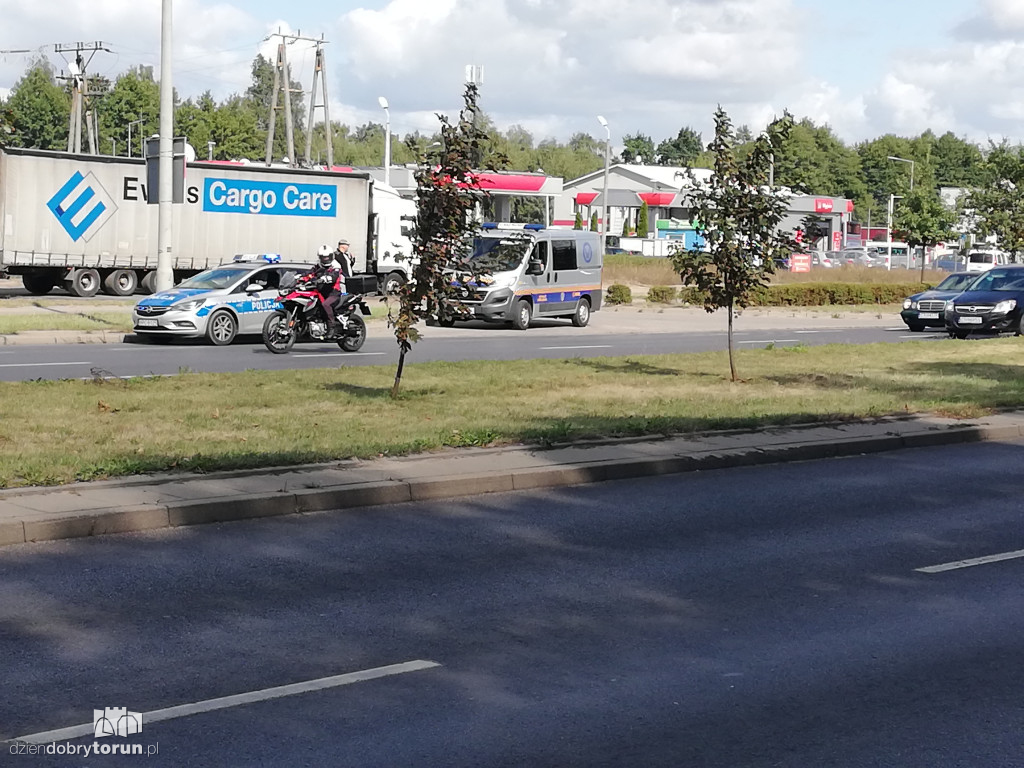 Obława na łosia na Skarpie