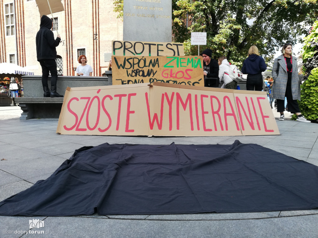 Młodzieżowy strajk klimatyczny w Toruniu