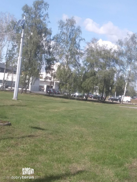 Uwaga! Łoś znowu biega po Skarpie!
