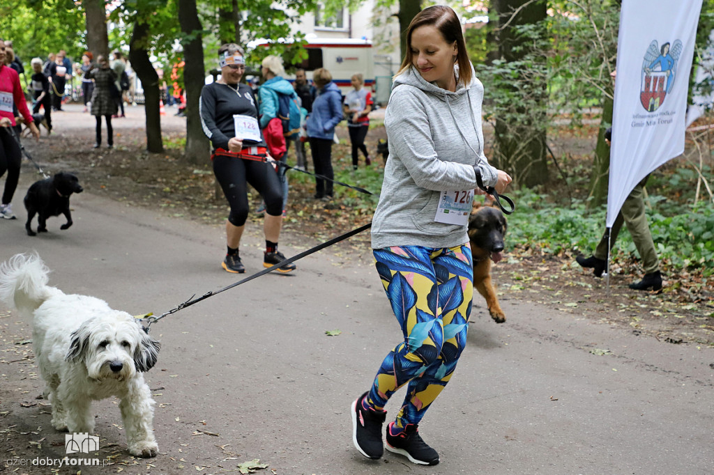 PsieBiegnij Się! na Bydgoskim Przedmieściu