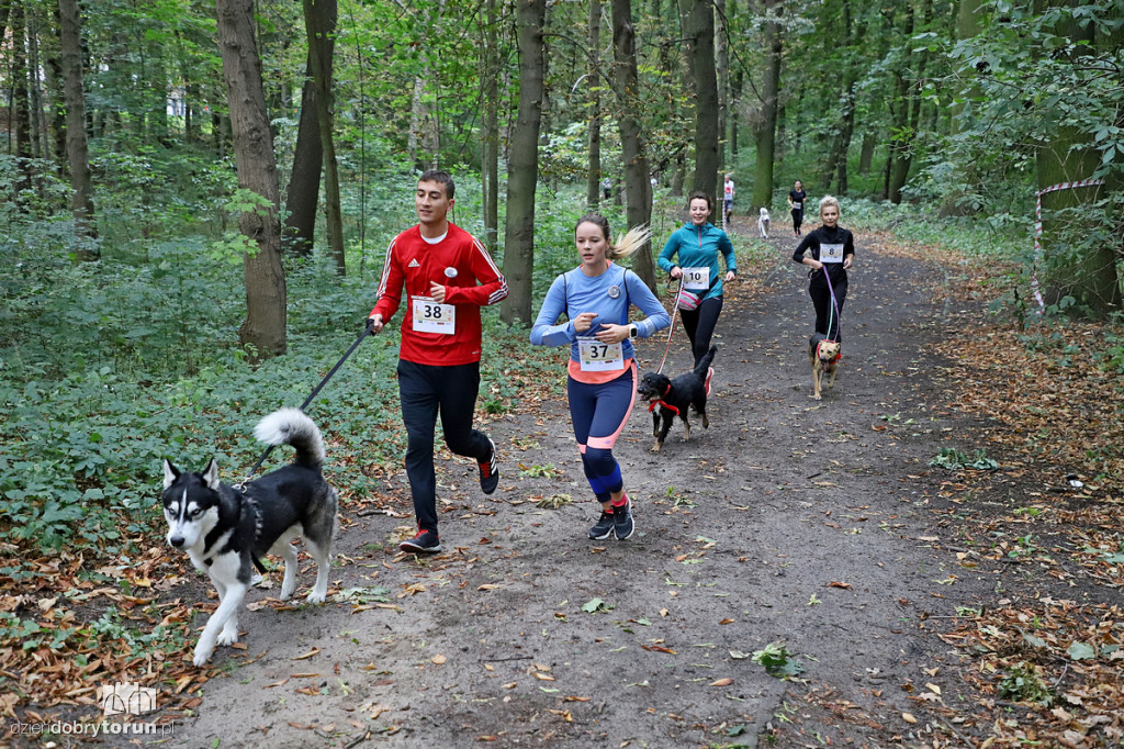 PsieBiegnij Się! na Bydgoskim Przedmieściu
