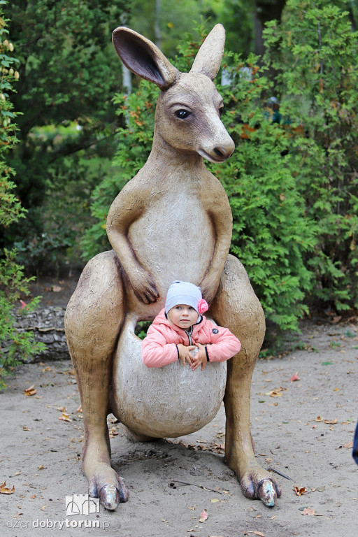 Międzynarodowy Dzień Pandy