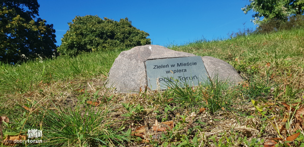 Tak wygląda Bydgoskie Przedmieście