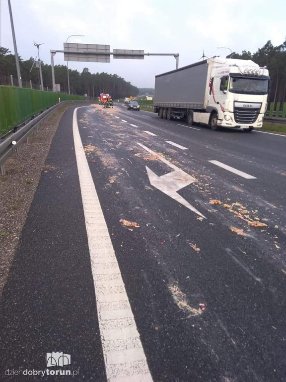 Zwierzęce resztki na drodze