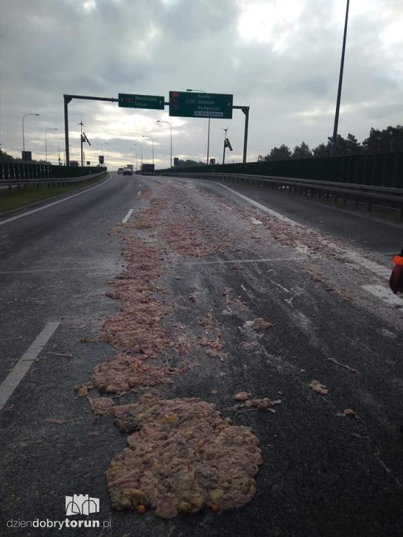 Zwierzęce resztki na drodze
