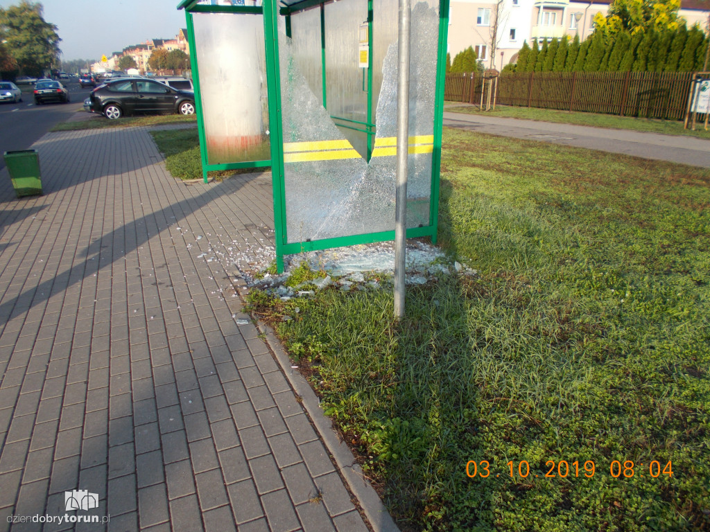 Bezmyślny akt wandalizmu