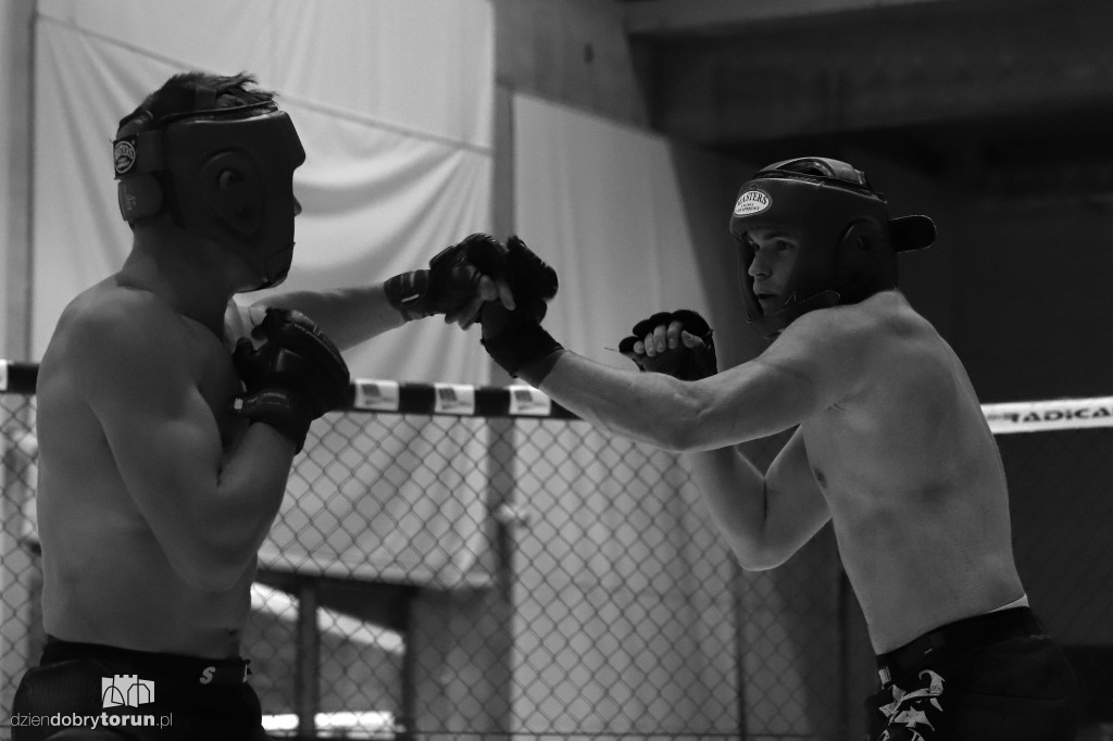 VII Mistrzostwa Polski Służb Mundurowych w MMA