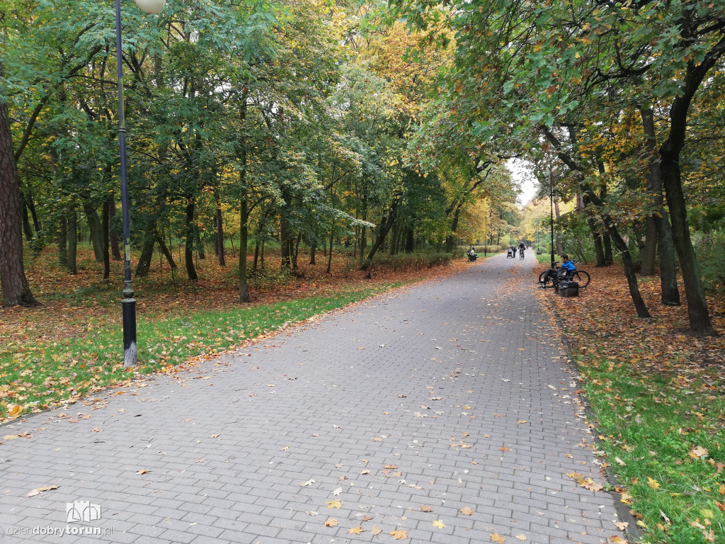 Piękna jesień w parku na Bydgoskim Przedmieściu