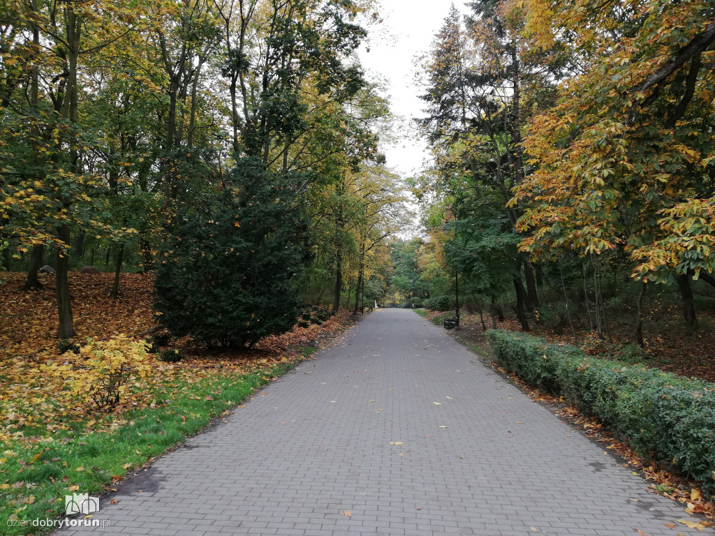Piękna jesień w parku na Bydgoskim Przedmieściu