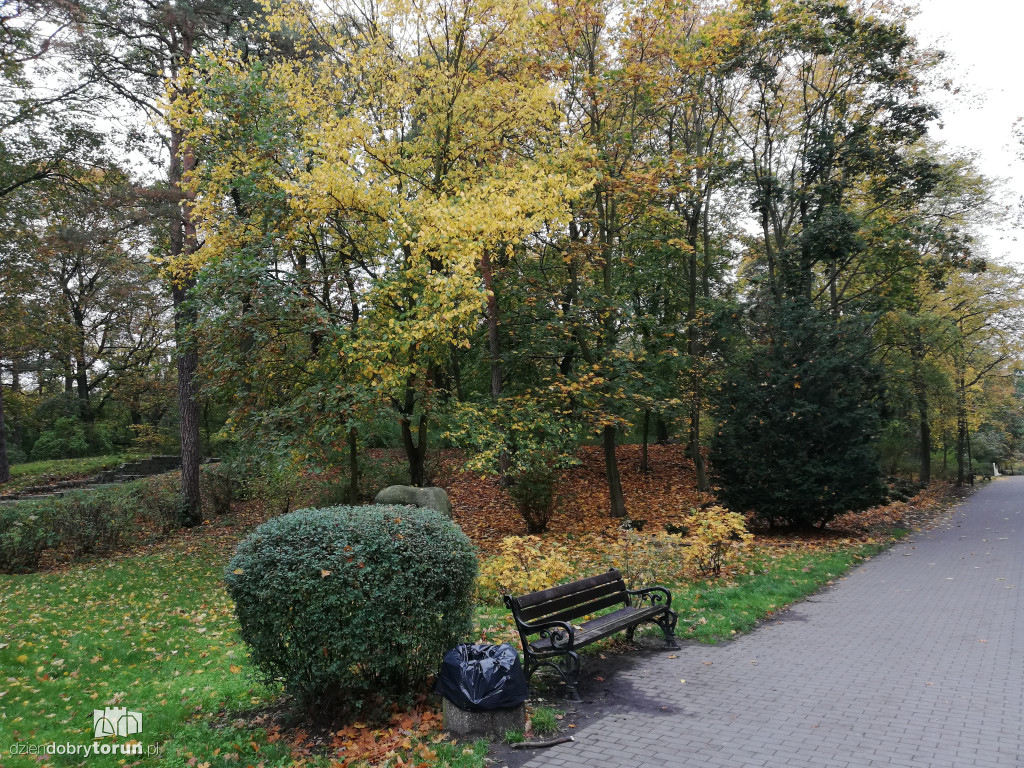 Piękna jesień w parku na Bydgoskim Przedmieściu