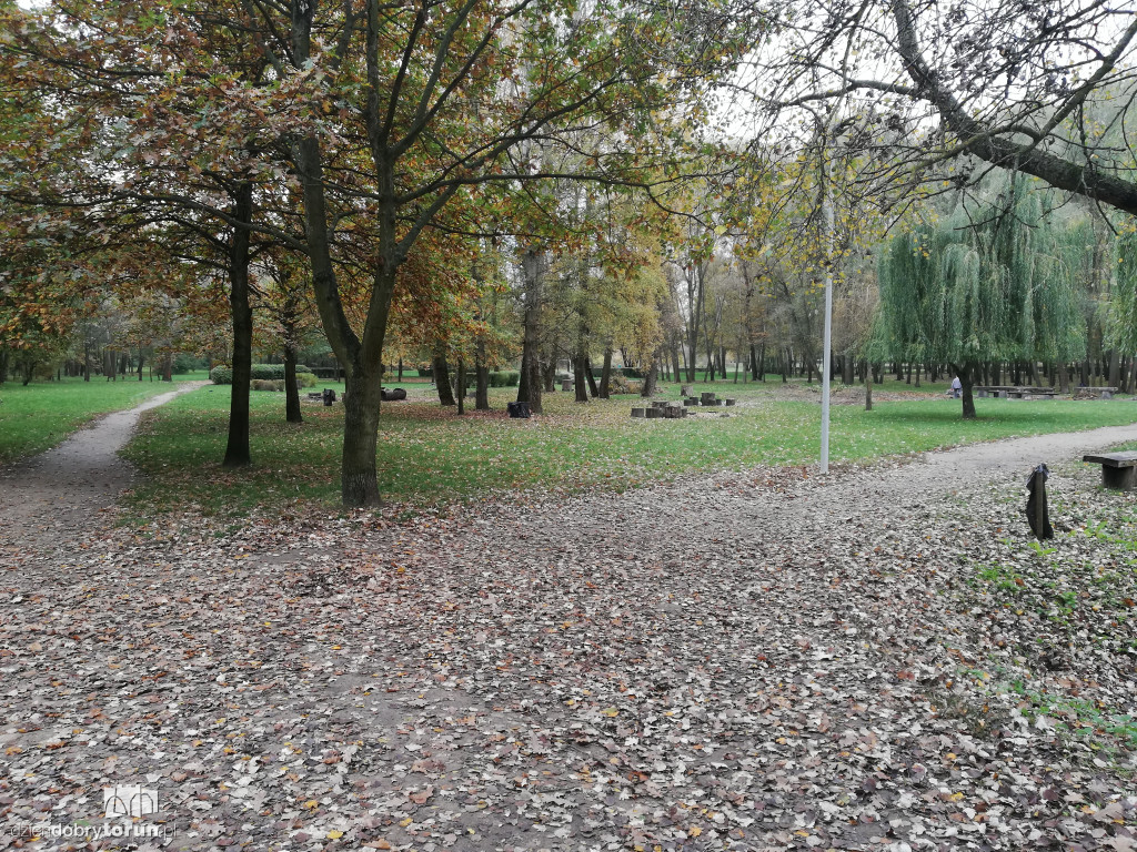 Piękna jesień w parku na Bydgoskim Przedmieściu