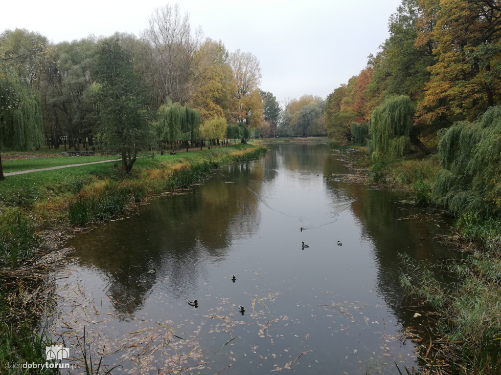 Piękna jesień w parku na Bydgoskim Przedmieściu