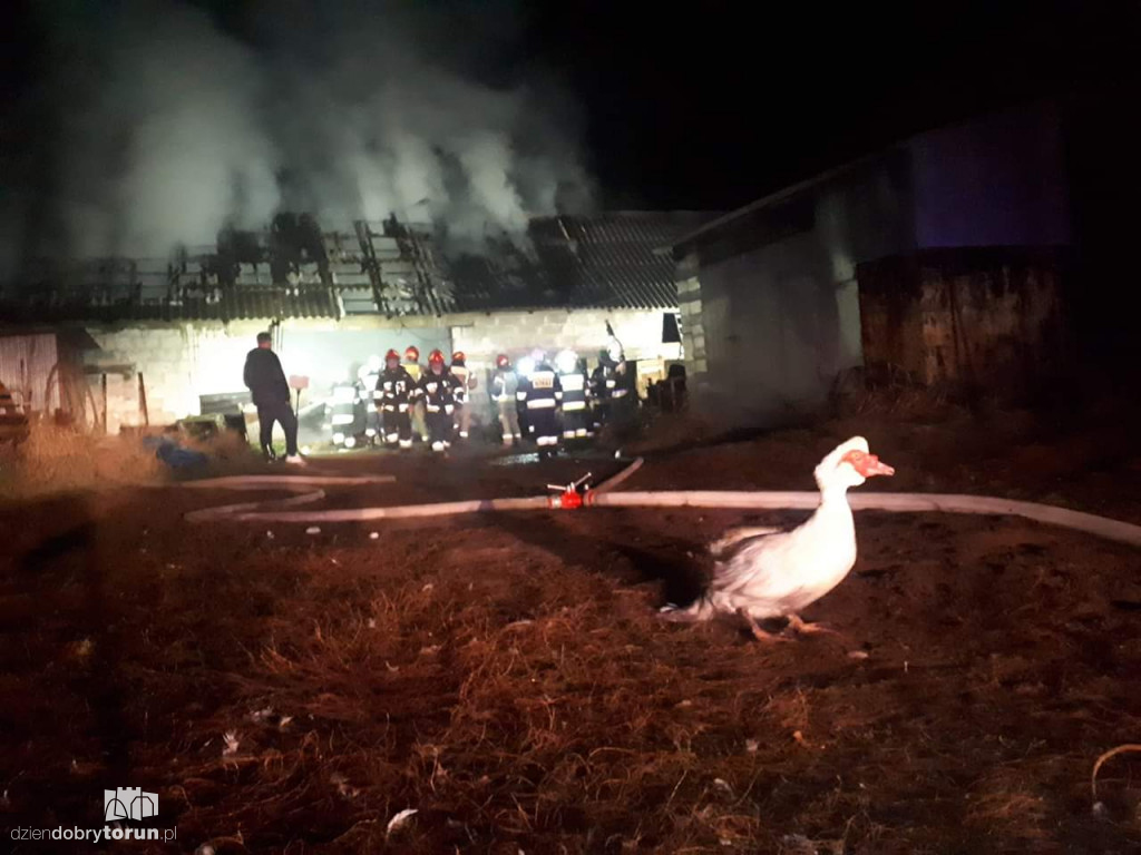 Pożar stodoły w Solcu Kujawskim