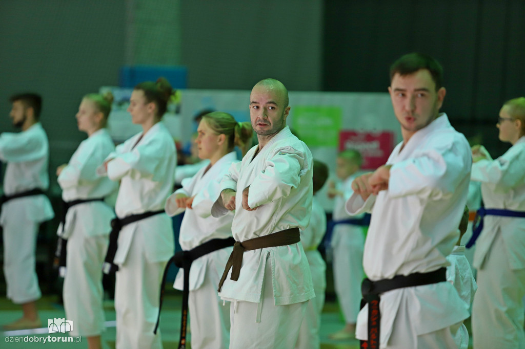 100 kata challenge w karate